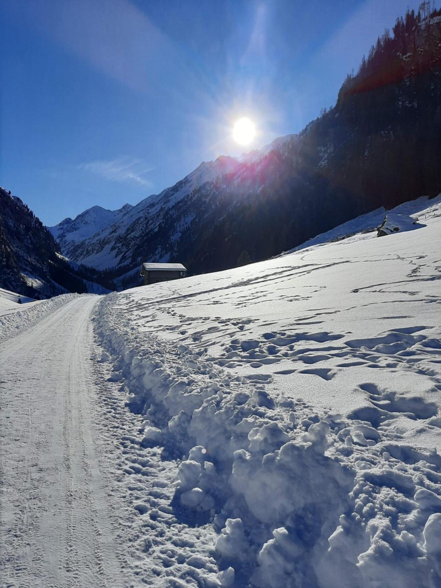 Apart Alexandra Strass im Zillertal Cameră foto